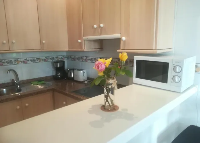 公寓 Burriana 内尔哈